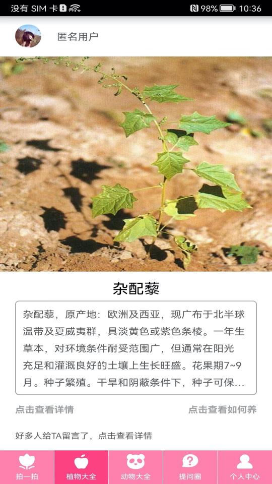 拍照识物下载安卓版_拍照识物app最新版下载