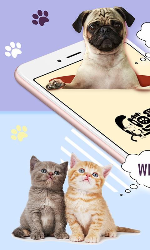 猫狗语翻译器下载安卓版_猫狗语翻译器app最新版下载