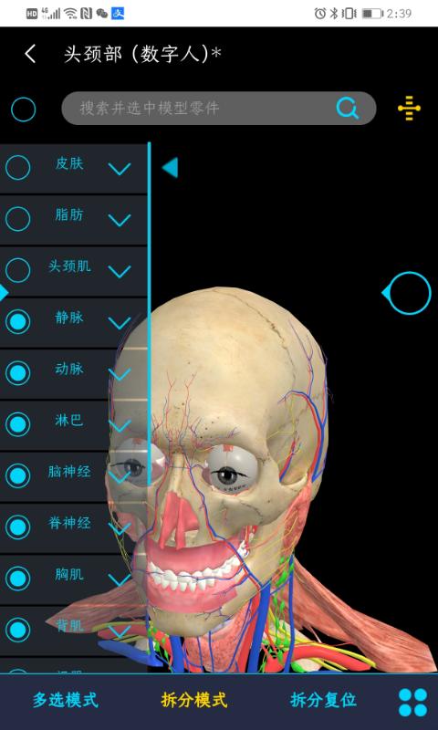 医维度解剖下载安卓版_医维度解剖app最新版下载