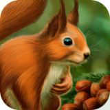 松鼠模拟器3D(Squirrel 3D Simulator)v1.1.1下载