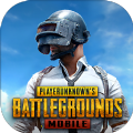 pubg2.2版本最新国际服手游下载