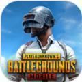 pubg地铁逃生下载「v2.2.0」手游_pubg地铁逃生下载最新版下载