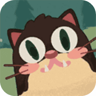 奇怪的猫下载