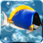 水族馆动态壁纸下载_水族馆动态壁纸「v5.6.3」APP下载