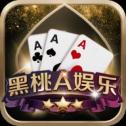 黑桃a棋牌app_黑桃a棋牌app2023版下载