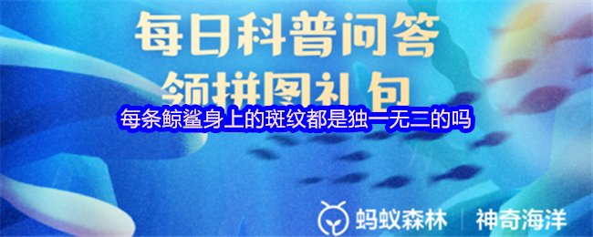 《支付宝》每条鲸鲨的斑纹都是独特的吗?