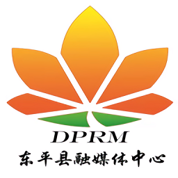 东平手机台应用