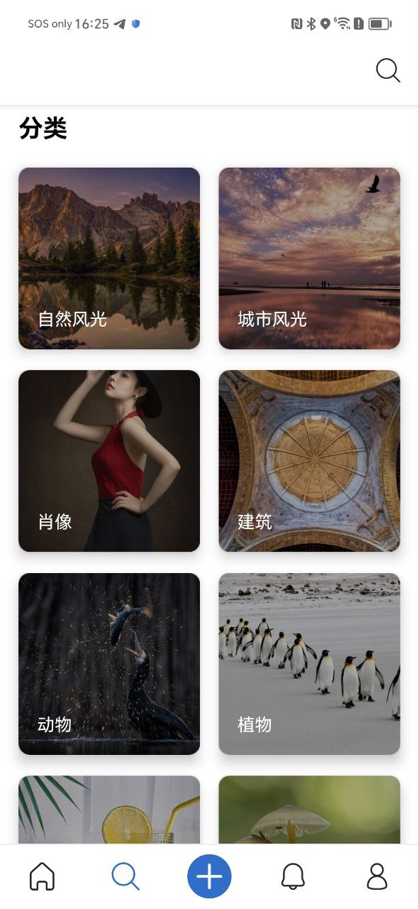500px2025