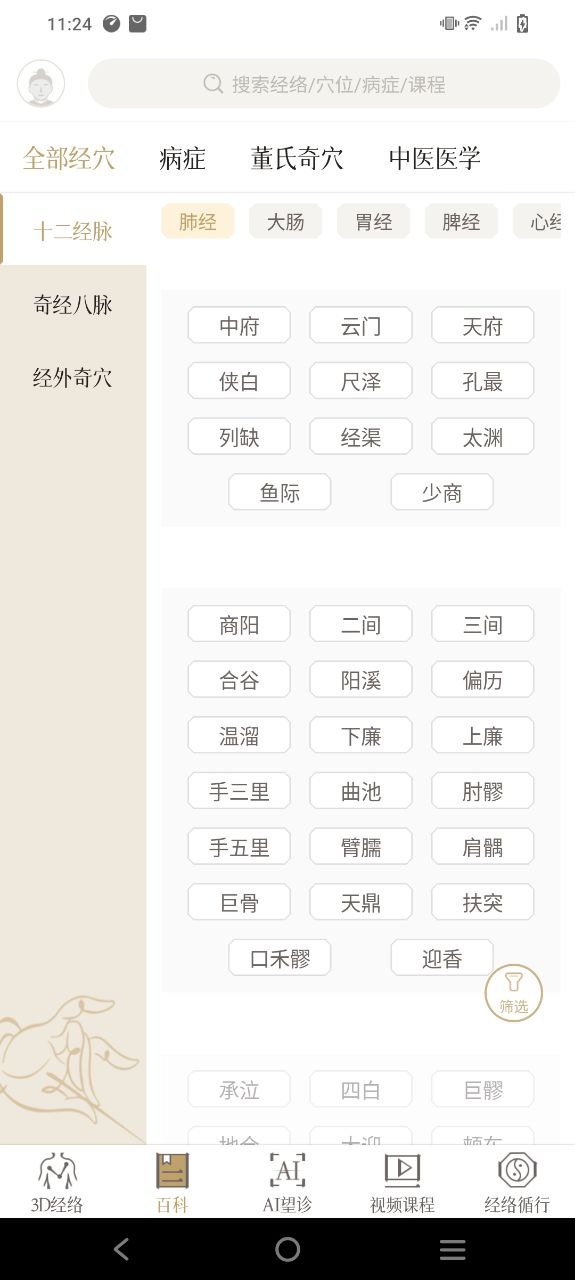 中济经络穴位下载安装