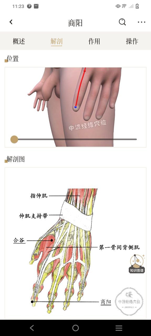 中济经络穴位下载安装