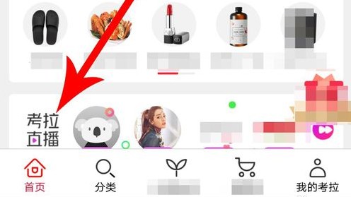 考拉直播入口