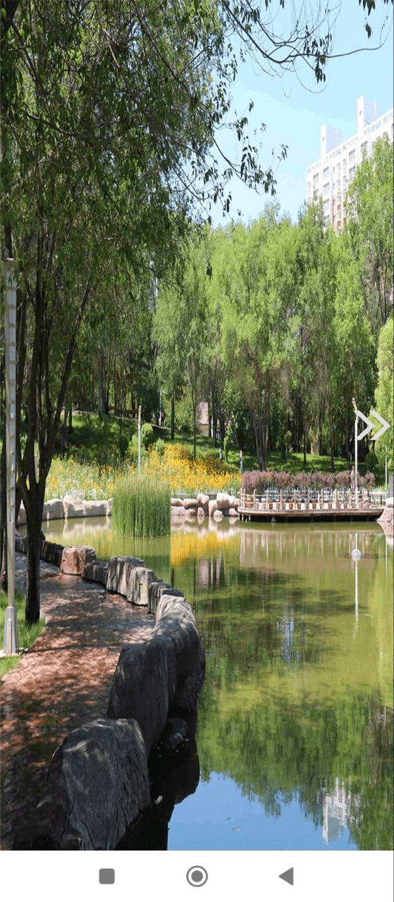 沙湾好地方安卓下载