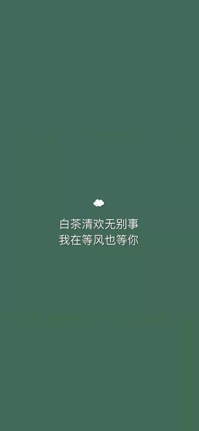 白茶清欢无别事我在等风也等你文字图片